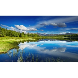 РЕПРОДУКЦИЯ В РАМЕ 60Х100, Артикул: 300