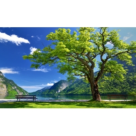 РЕПРОДУКЦИЯ В РАМЕ 60Х100, Артикул: 338