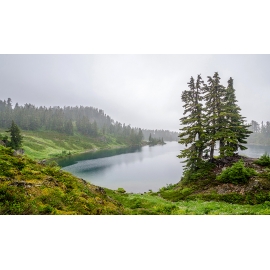 РЕПРОДУКЦИЯ В РАМЕ 60Х100, Артикул: 345