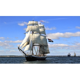 РЕПРОДУКЦИЯ В РАМЕ 60Х100, Артикул: 6858