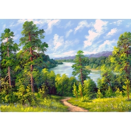 РЕПРОДУКЦИЯ В РАМЕ 30Х40, Артикул: 8258