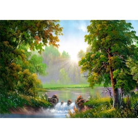 РЕПРОДУКЦИЯ В РАМЕ 50Х70, Артикул: 8284
