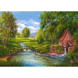 РЕПРОДУКЦИЯ В РАМЕ 50Х70, Артикул: 8309
