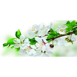 РЕПРОДУКЦИЯ В РАМЕ 33Х70, Артикул: 504