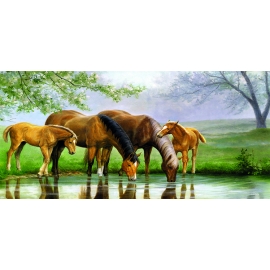 РЕПРОДУКЦИЯ В РАМЕ 33Х70, Артикул: 562
