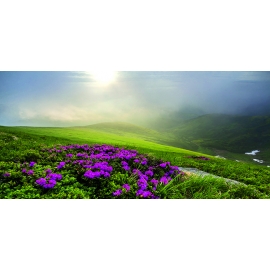 РЕПРОДУКЦИЯ В РАМЕ 33Х70, Артикул: 7172