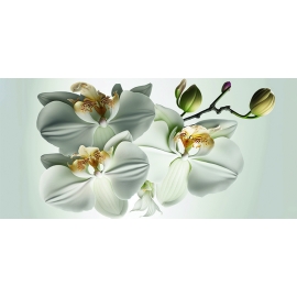 РЕПРОДУКЦИЯ В РАМЕ 33Х70, Артикул: 7713