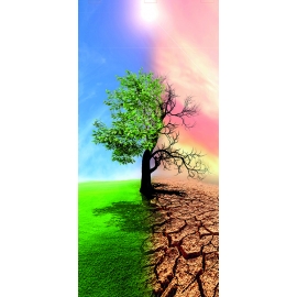 РЕПРОДУКЦИЯ В РАМЕ 33Х70, Артикул: 8037