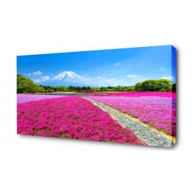 Картина на холсте 40*50, Артикул: 433