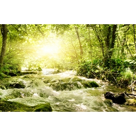 Картины на холсте 60х100, Артикул: 5117
