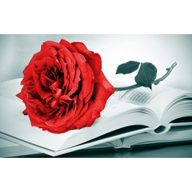 Картины на холсте 60х100, Артикул: 2381
