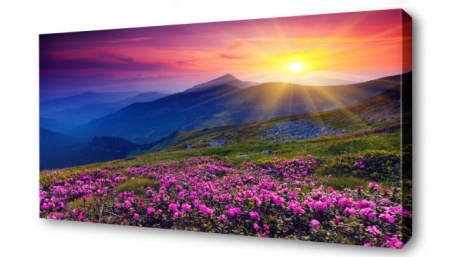 Картина на холсте 40*50, Артикул:  9