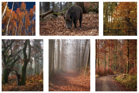 ПОЛИПТИХ 6 частей, Артикул:  0159