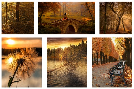 ПОЛИПТИХ 6 частей, Артикул:  0164