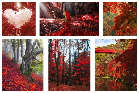 ПОЛИПТИХ 6 частей, Артикул:  0166