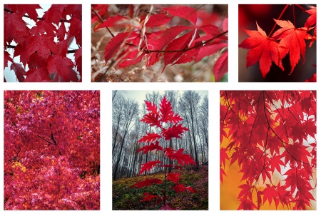 ПОЛИПТИХ 6 частей, Артикул:  0167