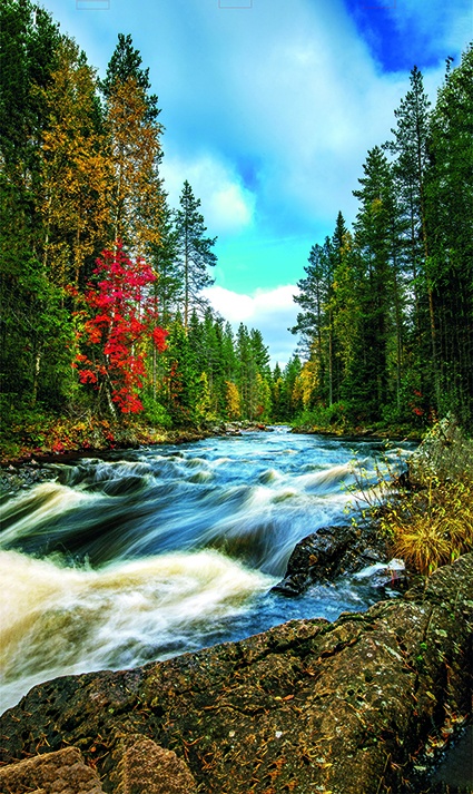 РЕПРОДУКЦИЯ В РАМЕ 50Х70, Артикул:  8014