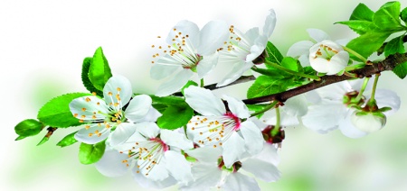 ДЕКО БОКС 33Х70, Артикул:  504