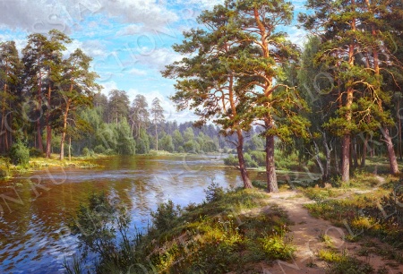 ДЕКО БОКС 50Х70, Артикул:  bc22