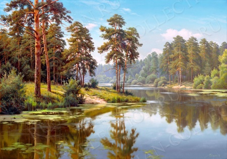 ДЕКО БОКС 50Х70, Артикул:  pi33