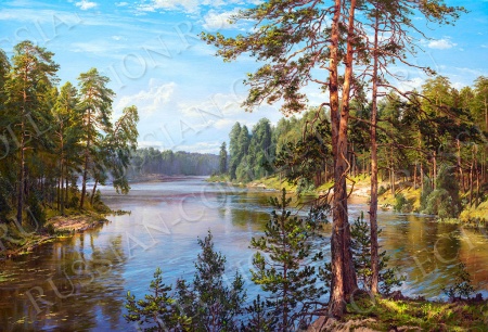 ДЕКО БОКС 50Х70, Артикул:  bs26