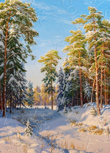 ДЕКО БОКС 50Х70, Артикул:  bs25