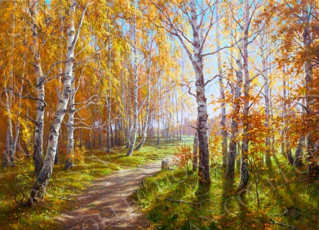 ДЕКО БОКС 50Х70, Артикул:  bs24